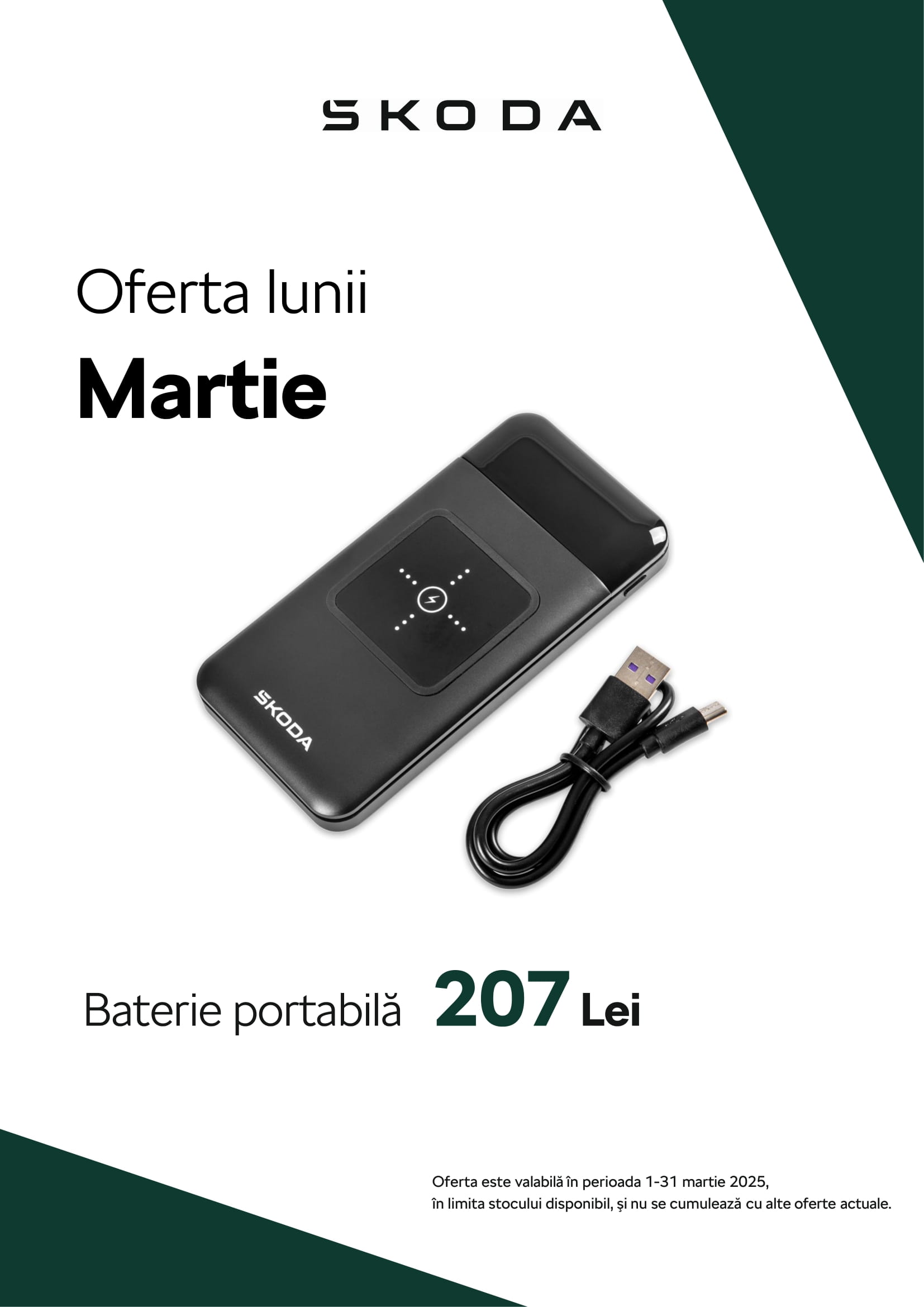 Oferta martie baterie Skoda 1