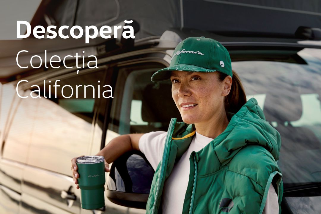 lnf banner colectia california