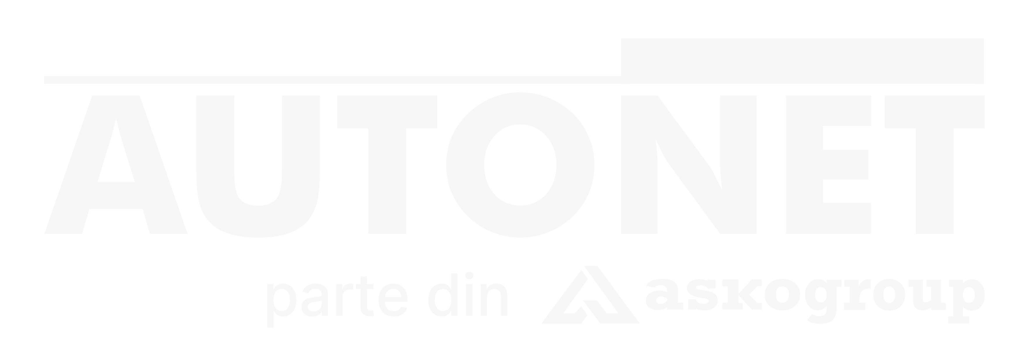 autonet logo white